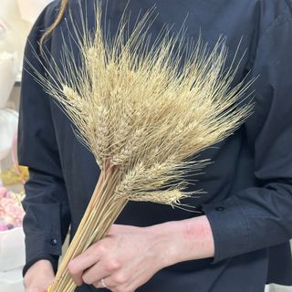 Букет «Пшениця»