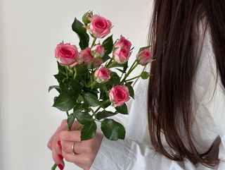 Троянда кенійська Тралала, 1 шт