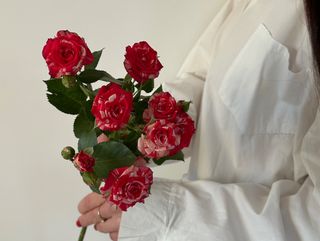 Троянда кенійська Фаєр Фокс, 1 шт