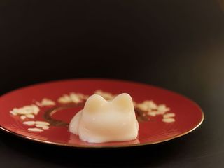 Кіт-трясунець