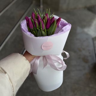 Тюльпан сорту Purple Prince 15шт