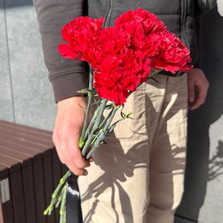 Гвоздика Турція -6шт