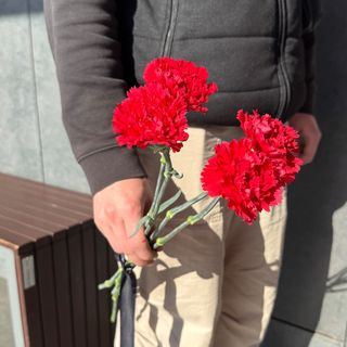 Гвоздика Турція -4шт