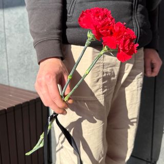 Гвоздика Турція -2шт