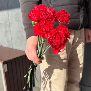 Гвоздика Турція -8шт