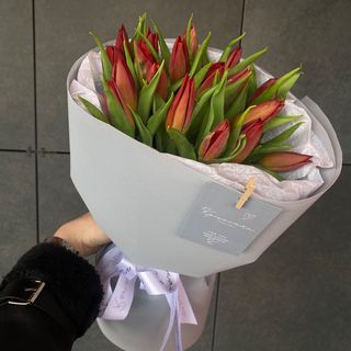 Тюльпан стронг лав -19