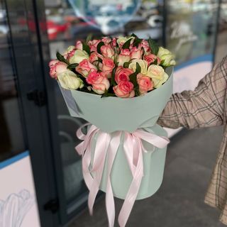 Троянда сорту Нс -47шт