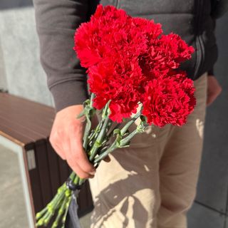 Гвоздика Турція -10шт