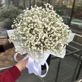 Квіти в коробці «Гіпсофіла»