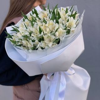 Букет із 25 білих альстромерій