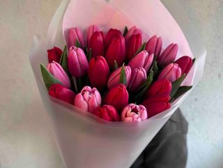 Букет із 25 рожевих та червоних тюльпанів
