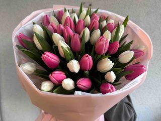 Букет із 51 білого та рожевого тюльпану
