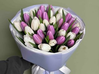 Букет із 35 білих та лілових тюльпанів