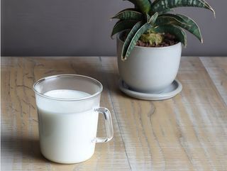 Стакан для молока Kinto Cast 310ML