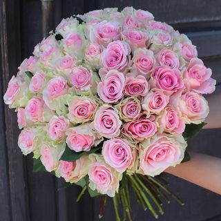 Троянда Топ Гір, 1 шт