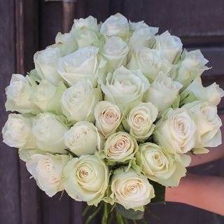 Троянда Атена, 1 шт