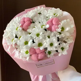 Бавовна