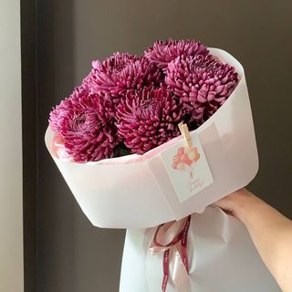 Бургунді