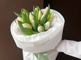 13 білих тюльпанів