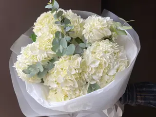 5 білих гортензій