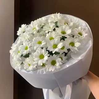 Ромашка