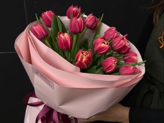 Букет №13 15 тюльпанів Colunbus