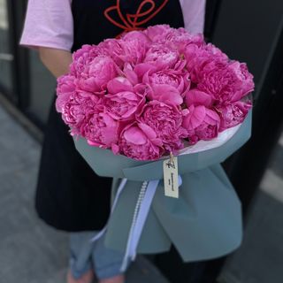 Півонія Якорма 25 шт