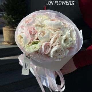 Ранункулюс Hanoi 15 шт