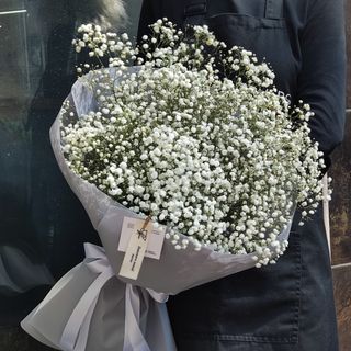 Біла гіпсофіла імпорт 25 шт