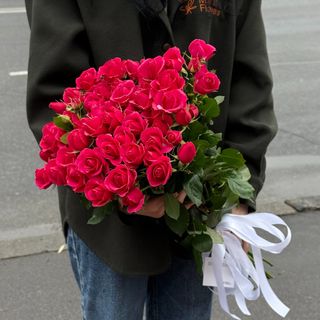 Ред алексін - 21 шт