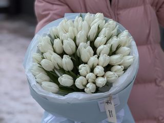 Букет №7 Тюльпан polar bear 51 шт