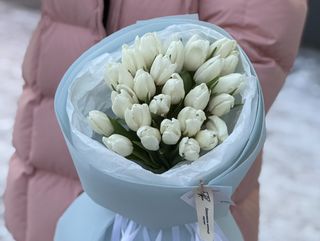 Букет №6 Тюльпан polar bear 25 шт
