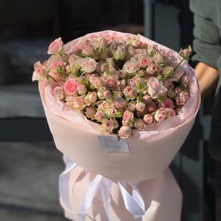 Кущова троянда Гуд муд 25 шт