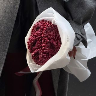 Моно з 5 хризантем Бордо