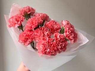 Яскраві Діантуси