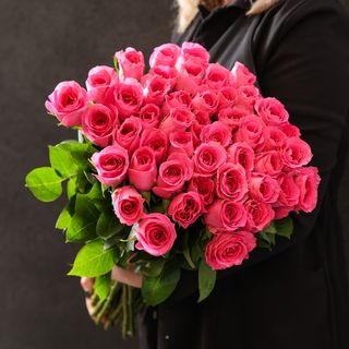 Троянда рожева 