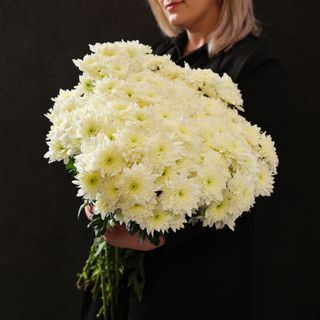 Маргаритка 