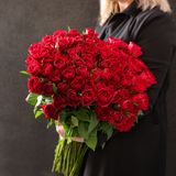 Троянда червоного кольору