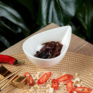 Коники стрибунці