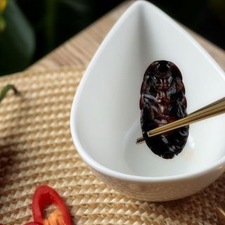 Мадагаскарський тарган 1шт