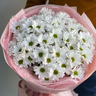 Хризантема ромашка 5 гілок 