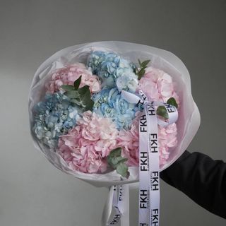 Гортензія мікс 7 шт