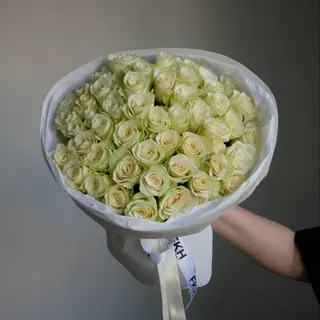 51 Біла троянда