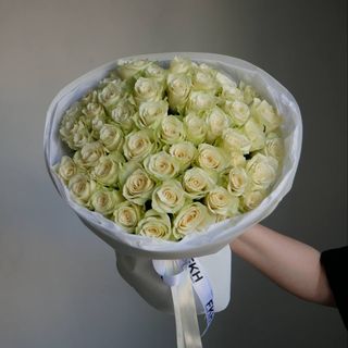 51 Біла троянда