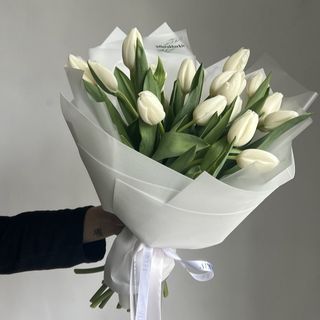 Тюльпан білий 