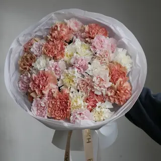 Діантус 