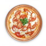 Маргарита (40см)