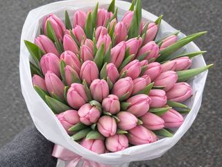 Букет з 51 тюльпану