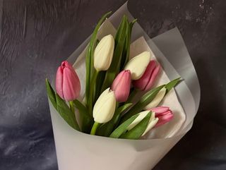 9 тюльпанів в пакуванні