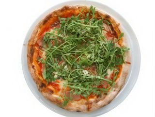 Моданостра (500g)